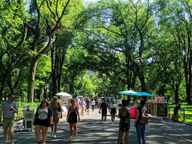 Central Park (18)