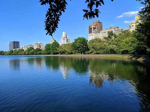 Central Park (19)