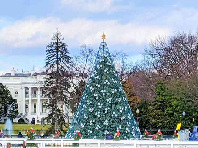 Washington DC Christmas (10)