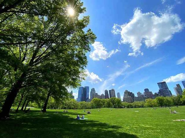 今セントラルパークが美しい 新緑の中で癒される 憩いの時間を過ごして Petite New York