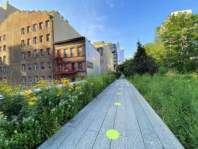 The High Line (26)