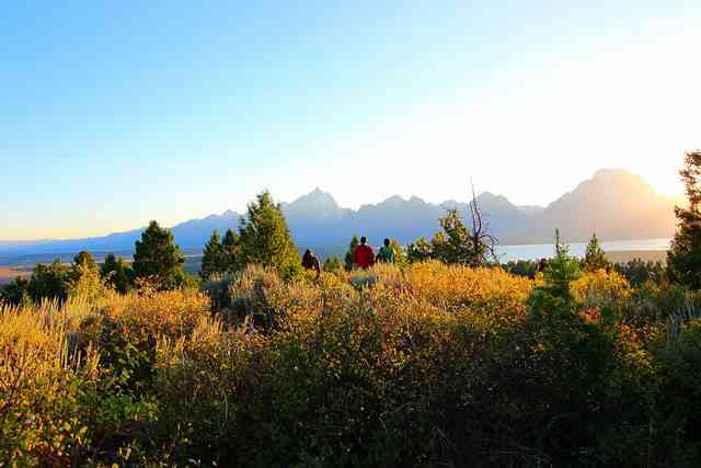 グランドティトン国立公園の見どころ観光ガイド 絶景の人気高原 