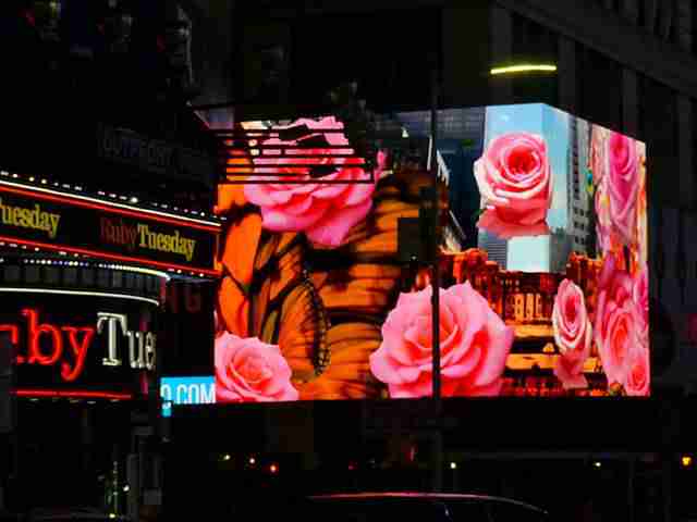 Times Square (8)