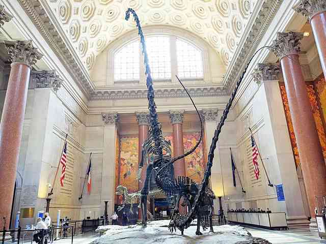 American Museum of Natural History (1)