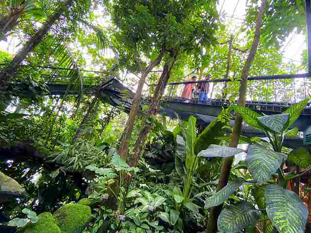 New York Botanical Garden (15)