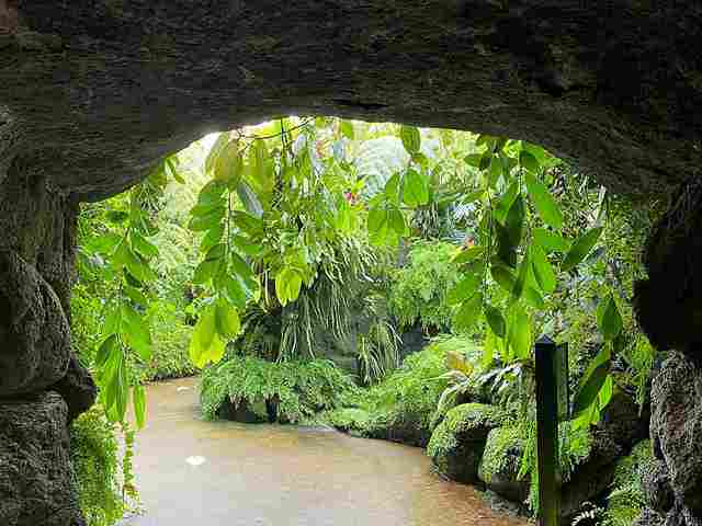 New York Botanical Garden (16)