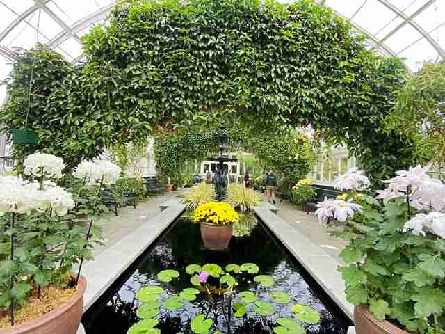 New York Botanical Garden (3)