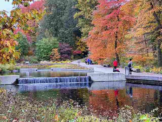 ニューヨーク植物園 紅葉と美しい花々が楽しめる秋のおすすめ散策スポット Petite New York