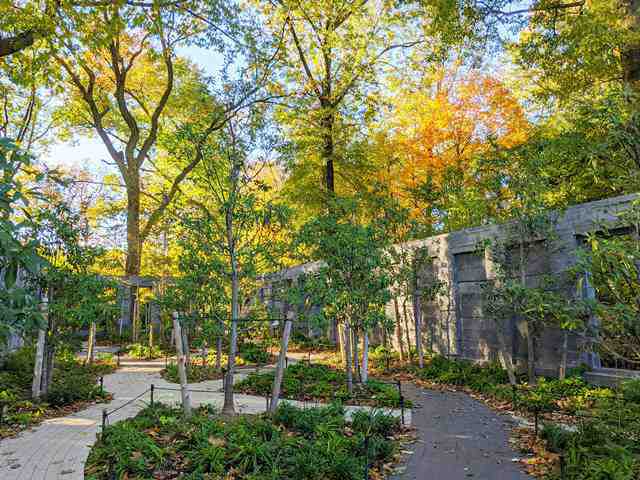 Brooklyn Botanic Garden (10)