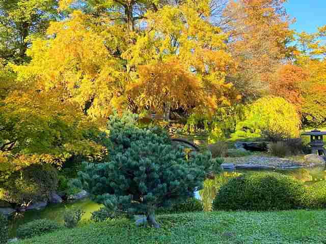 Brooklyn Botanic Garden (5)