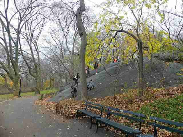 Central Park (11)