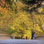 プロスペクトパークの紅葉 見どころおすすめスポット ブルックリンの美しい憩いの公園