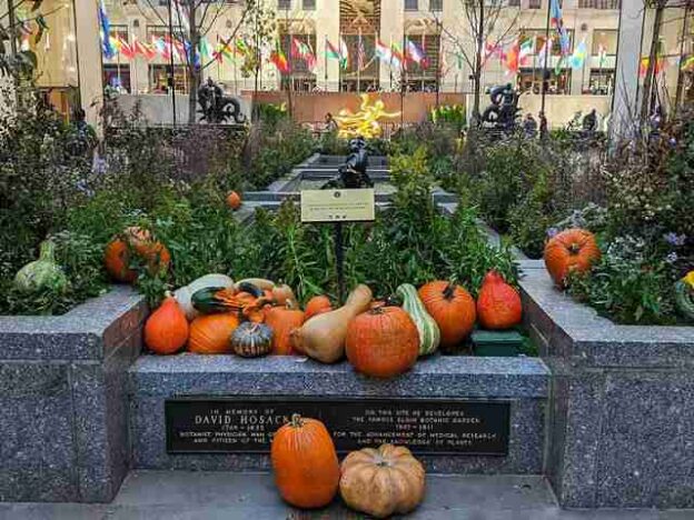 ニューヨーク 仮装姿で大賑わいのハロウィンの週末 Petite New York