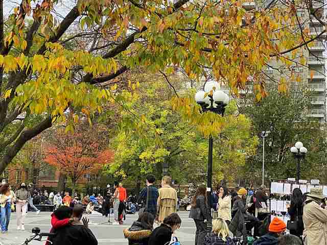Washington Square Park (13)