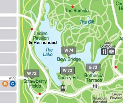the-lake-central-park-map