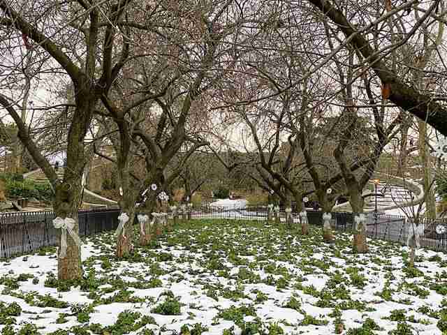 カールシュルツパーク NYCアッパーイーストサイドの憩いの公園と