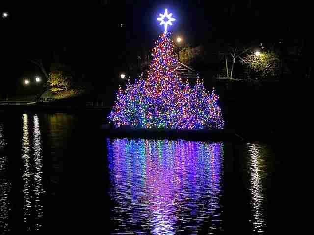 Central Park Christmas Tree (2)