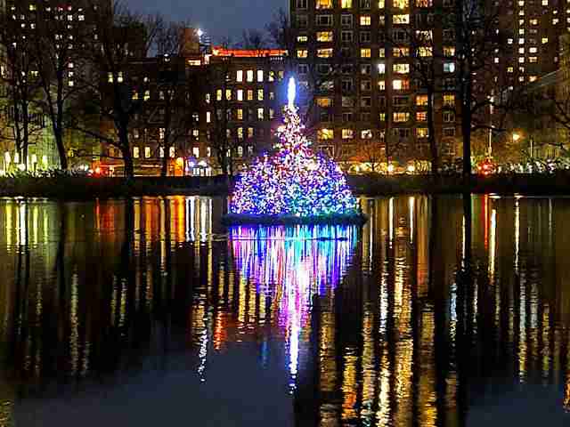 Central Park Christmas Tree (4)