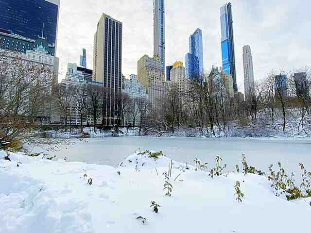 Central Park Snow (1)