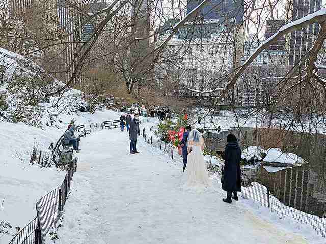 Central Park Snow (12)