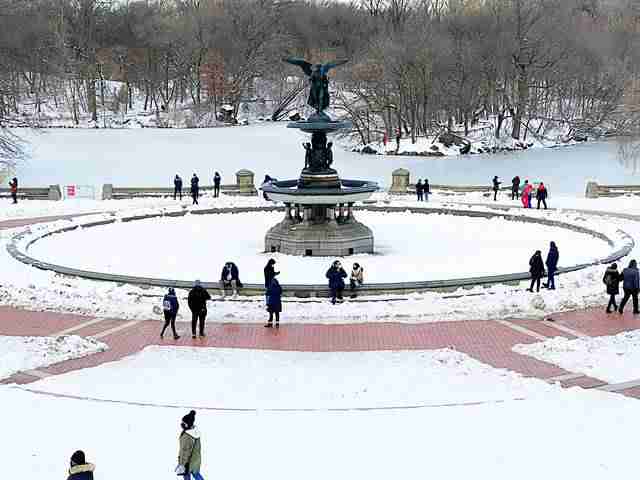 Central Park Snow (13)