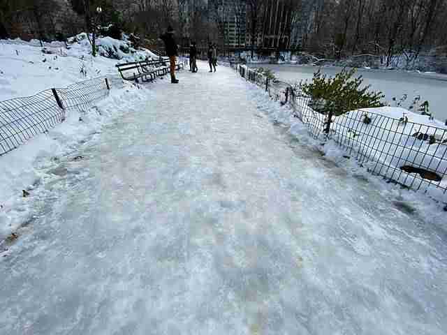 Central Park Snow (14)
