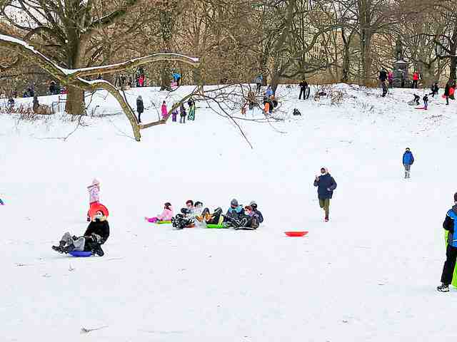 Central Park Snow (3)