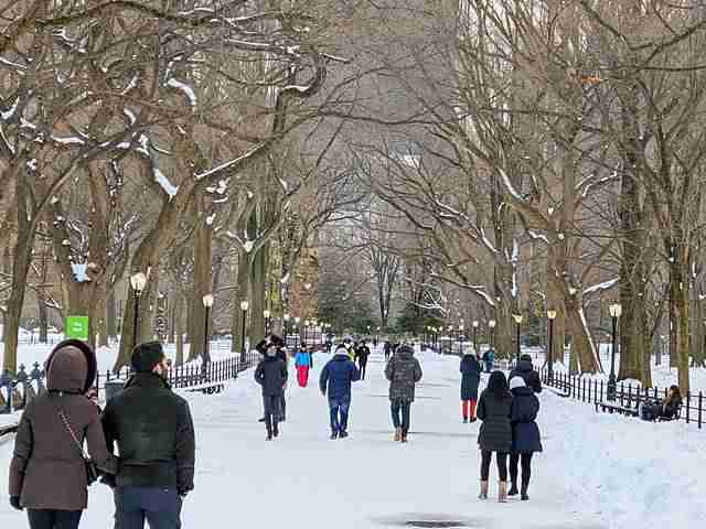 Central Park Snow (8)