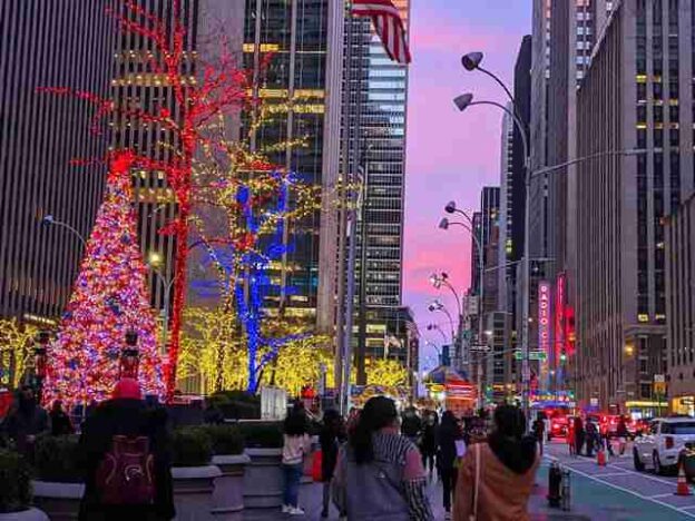 ニューヨーク クリスマス前の週末 ミッドタウンがテーマパークのように 行列いっぱい大盛り上がりの街の様子 Petite New York