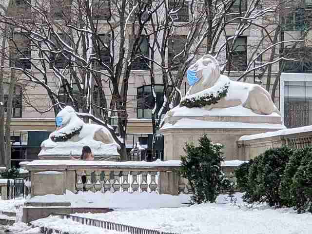 冬のニューヨーク 雪に包まれた ホワイトクリスマスの街巡り - Petite 