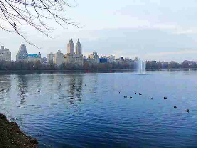 Central Park (27)