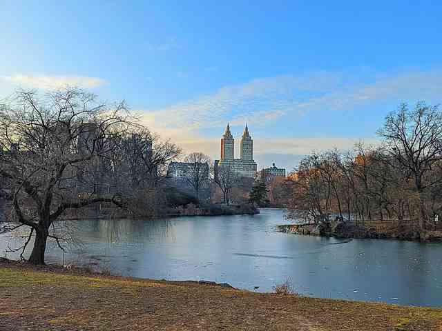 Central Park (4)