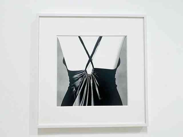 芸術写真 IRVING PENN book for colorful life Still Life / Irving Penn 美意識と