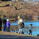 ブルックリン プロスペクトパーク湖畔 アイススケートや水鳥で賑わう早春のレイク散策 ゴージャスなアメリカオシに感動！