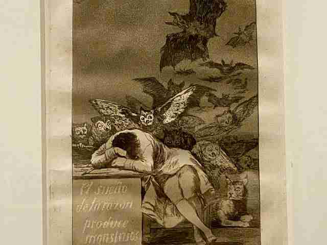 Goya (20)
