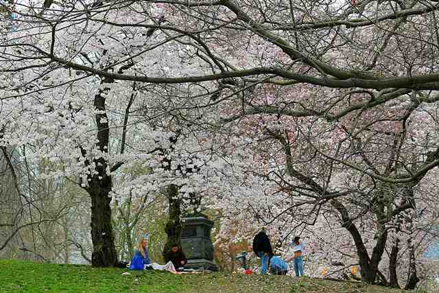 Central Park (12)