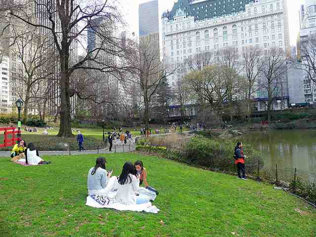 Central Park (14)