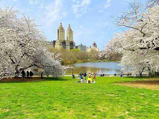 Central Park (5)