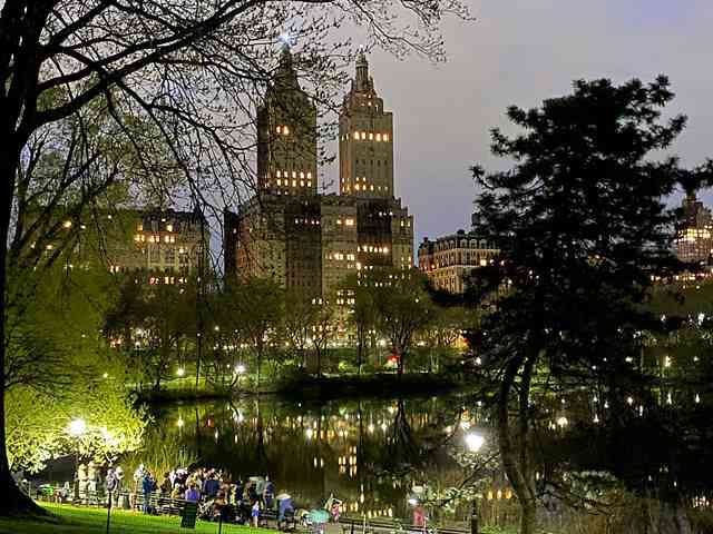 Central Park Night Views (6)