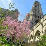 モーニングサイドハイツの見どころ ニューヨークの閑静な学生街散策 コロンビア大学や教会の巨大建築とサクラパークの美しい桜