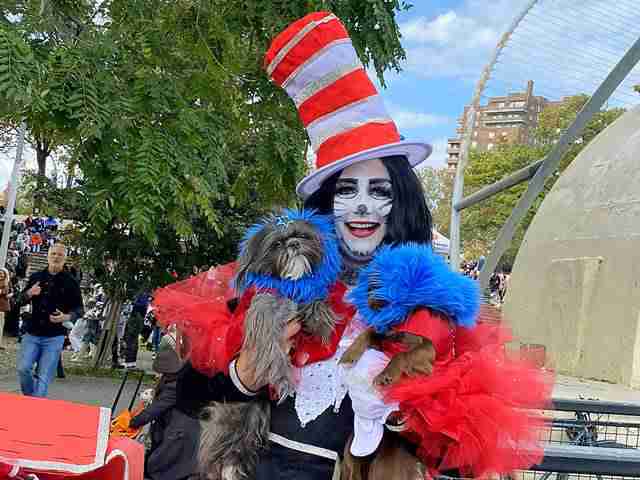 ニューヨーク 可愛い犬のハロウィン仮装イベント Tompkins Square Halloween Dog Parade Petite New York