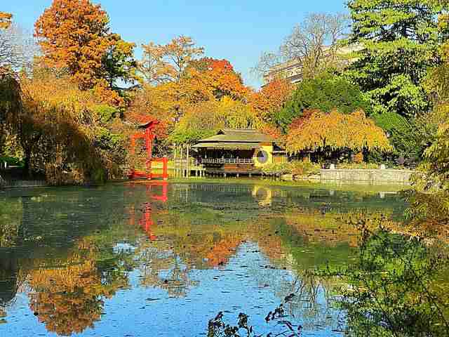 ブルックリン絶景の紅葉散策 美しい自然がいっぱいのブルックリン植物園とプロスペクトパークの紅葉が見頃です Petite New York