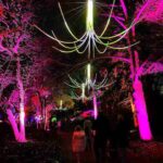 ライトスケープ NY ブルックリン植物園のクリスマスイルミネーションが大盛況