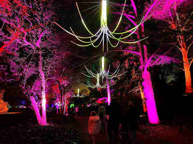 ニューヨーク 新ホリデーイベント ライトスケープ Nyブルックリン植物園のクリスマスイルミネーションが大盛況 Petite New York