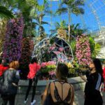 ニューヨーク植物園 オーキッドショー 蘭展 華やかで美しいランに感動！ The Orchid Show