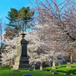 ブルックリンの桜の隠れ名所 グリーンウッドセメタリー Green-Wood Cemetery もうすぐ花見フェスティバル