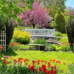 ニューヨーク クイーンズ植物園 チューリップと八重桜が美しい Queens の春の人気の花園