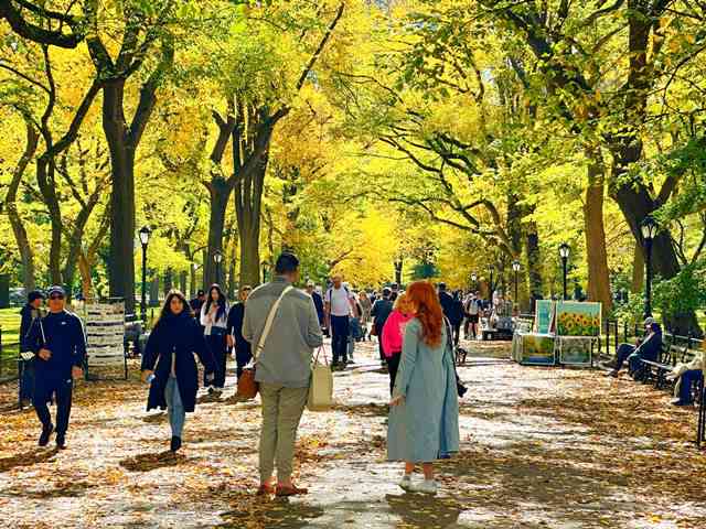 NYセントラルパークの木製パネル写真　2点 55,200点を超えるCentral Parkのストックフォト、写真、そして