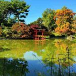 ブルックリンボタニックガーデンの日本庭園 紅葉が見頃に！人気イルミネーションショー Lightscape 今年も開催