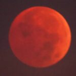 ニューヨークで皆既月食！アメリカ 11月の満月 ビーバームーンが赤く輝きブラッドムーンに